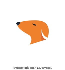 Cute animal illustration