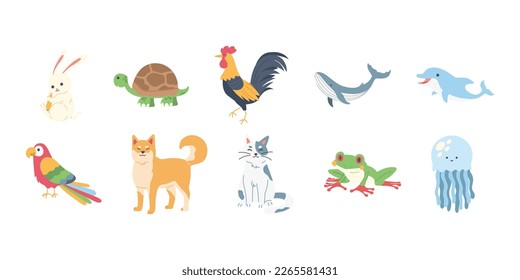 Cute Animal Illustration Vector Set