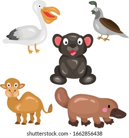 cute animal isolated in white cute animals with simple design