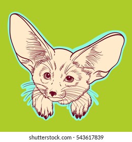 Cute animal. Little fox Fennec. Children linear illustration for coloring book. To print T-shirts, bags or cover.
