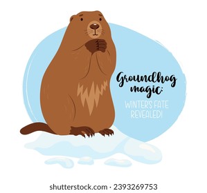 Cute animal marmot standing in snow. Greeting card for Holiday Groundhog Day with cool slogan. February 2. Vector illustration 