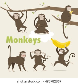 cute animal monkey like banana vector illustration flat design