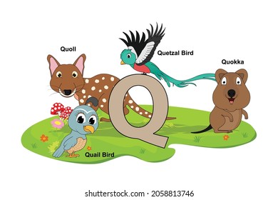 cute animal name with alphabet letter Q