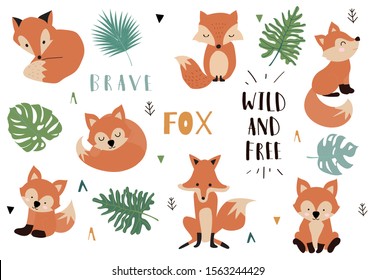 Cute animal object collection with fox and leaves.Vector illustration for icon,logo,sticker,printable.Include wording wild and free