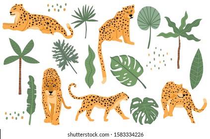 Cute animal object collection with leopard,tiger. illustration for icon,sticker,printable