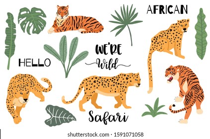 Cute animal object collection with leopard,tiger. illustration for icon,logo,sticker,printable.Include wording we are wild