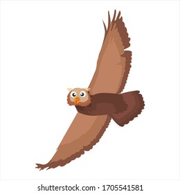 cute animal owl clip art bird cartoon character