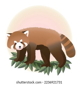 Cute animal in pastel tones, red panda