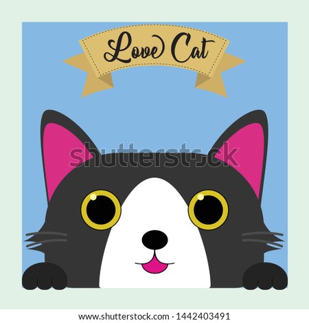 Cute animal peeping from the window - Cute Cat