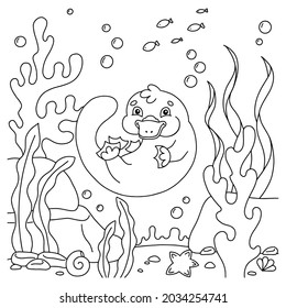 Cute animal platypus. Coloring book page for kids. Cartoon style. Vector illustration isolated on white background.