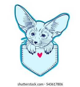 Cute animal in the pocket. Little fox Fennec. Children linear illustration for coloring book. To print T-shirts, bags or cover.