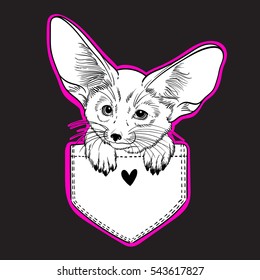 Cute animal in the pocket. Little fox Fennec. Children linear illustration for coloring book. To print T-shirts, bags or cover.