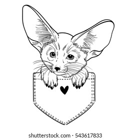 Cute animal in the pocket. Little fox Fennec. Children linear illustration for coloring book. To print T-shirts, bags or cover.