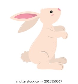 cute animal rabbit isolated icon