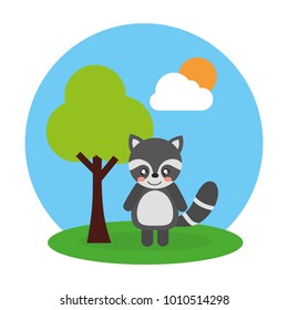 cute animal raccoon tree and sky landscape