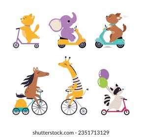 Juego de Ilustración de Bicicletas de Transporte de Animales y de Vectores Scooter