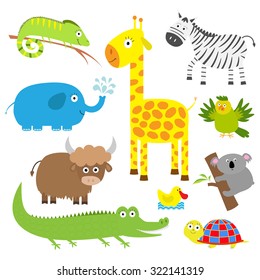 Cute animal set. Baby background. Koala, alligator, giraffe, iguana, zebra, yak, turtle, elephant, duck and parrot. Flat design Vector illustration