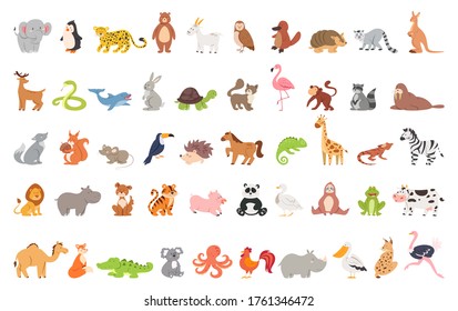 Conjunto de animales con carácter salvaje y de granja. Gato y león, elefante y mono. Colección de zoológicos. Ilustración vectorial plana aislada