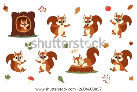 Cute animal squirrel set characters. Squirrel in various poses. Squirrel running, standing, jumping and sleeping. Forest wild animals.