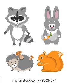 Cute Animal Squrrel, Hedgehog Racconn Hare