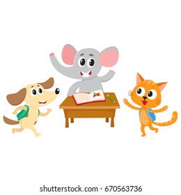 Cute animal students - elephant, cat and dog, back to school concept, cartoon vector illustration isolated on white background. Animal students, elephant at school desk, cat and dog hurrying to class