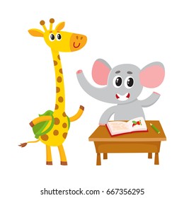 Cute animal students - elephant sitting at school desk, giraffe with backpack, cartoon vector illustration isolated on white background. Giraffe and elephant student characters, back to school concept