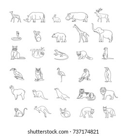 Cute Animal Vector illustration Icon Set isolated on a white background.