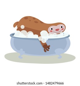 Cute Animal Vector illustration.Fun zoo. Illustration of cute sloth, sloth.