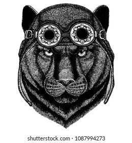 Cute animal wearing motorcycle, aviator helmet Panther Puma Cougar Wild cat Hand drawn image for tattoo, emblem, badge, logo, patch, t-shirt