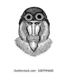 Cute animal wearing motorcycle, aviator helmet Monkey, baboon, dog-ape, ape Hand drawn image for tattoo, emblem, badge logo patch