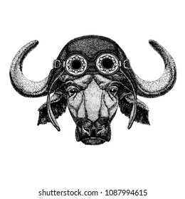 Cute animal wearing motorcycle, aviator helmet Buffalo, bull, ox Hand drawn illustration for tattoo, emblem, badge, logo, patch, t-shirt