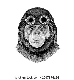 Cute animal wearing motorcycle, aviator helmet Chimpanzee Monkey Hand drawn illustration for tattoo, emblem, badge, logo, patch, t-shirt