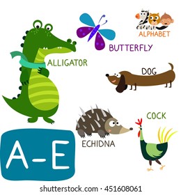 Cute Animal Zoo Alphabet. Letter A-E. Alligator, Butterfly, Cock, Dog and Echidna. Fun teaching aids for Kids