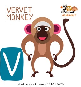 Cute Animal Zoo Alphabet. Letter V for Velvet Monkey. Fun teaching aids for Kids