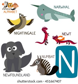 Cute Animal Zoo Alphabet. Letter N for Narwhal, Nightingale, Newfoundland, Newt and Numbat. Fun teaching aids for Kids