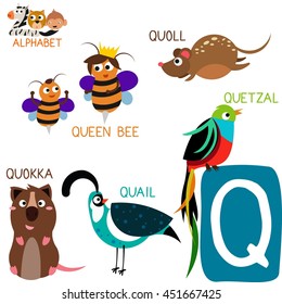 Cute Animal Zoo Alphabet. Letter Q for Quoll, Queen Bee, Quokka, Quail and Quetzal. Fun teaching aids for Kids
