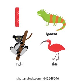 Cute Animal Zoo Alphabet. Letter I for iguana, ibis, indri. Fun teaching aids for Kids