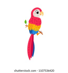 Cute animals - Ara parrot. Macaw. Illustrations for children. Baby Shower card. Cartoon character bird parakeet isolated on white background. Tropical animal wildlife
