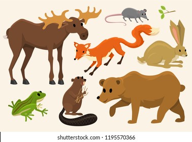 Cute animals for baby. Wild moose and deer, hare, wolf and bear. frog and fox. vintage world. Cartoon vector.
