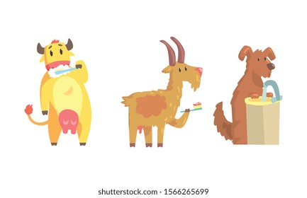 Cute Animals Bathing Vector Set. Hygiene and Care Concept