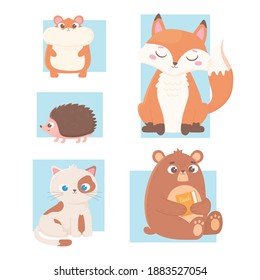 cute animals bear with book hamster fox cat and hedgehog icons vector illustration