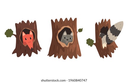 Cute Animals and Birds Living in Tree Hollows Set, Fox, Wolf Peeking Out of Hollow Cartoon Vector Illustration