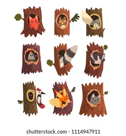 Cute animals and birds sitting in hollow of tree set, hollowed out old tree and fox, owl, wolf, raccoon, woodpecker and squirrel inside cartoon vector Illustrations on a white background