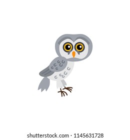 Cute animals - boreal owl. Illustrations for children. Baby Shower card. Cartoon character bird isolated on white background. North America, Europe and Asia animal wildlife
