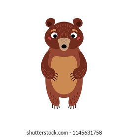 Cute animals - brown bear. Illustrations for children. Baby Shower card. Cartoon character grizzly isolated on white background. North America, Europe and Asia animal wildlife