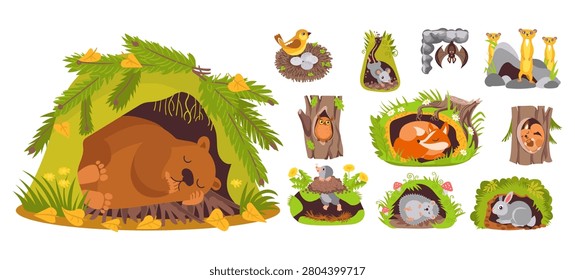 Cute animals in burrows. Cartoon forest mammals sleeping in their holes. Owl or bat in hollow tree. Ground squirrels and bears dream in dens. Birds nest. Funny characters vector set from fauna world