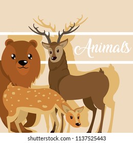 Cute animals card cartoon