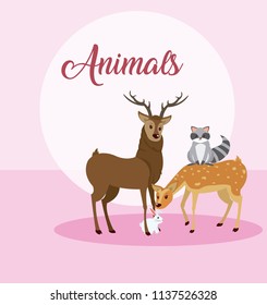 Cute animals card cartoon