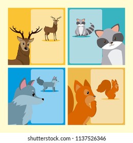 Cute animals cards