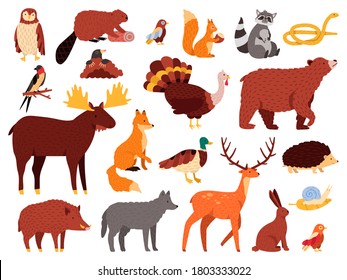 Cute animals. Cartoon forest animals, bear raccoon fox and cute owl, hand drawn mammals and birds, fall wood fauna vector illustration icons set. Bear and owl, wild fox and rabbit